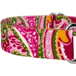 Country Brook Petz Pink Paisley Martingale Dog Collar And Leash -Pet Supplies Online GUEST b38a01b8 01ff 4ab6 a838 41ead7552268