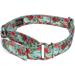 Country Brook Petz Vintage Roses Martingale Dog Collar