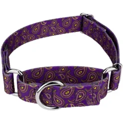 Country Brook Petz Purple Paisley Martingale Dog Collar -Pet Supplies Online GUEST b421f4c8 7400 4201 b228 8bcd928f1091