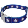 Country Brook Petz Premium American Stars Dog Collar -Pet Supplies Online GUEST b432e3de 8c7b 46c3 9ae0 8ac437288c6b