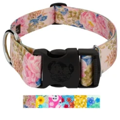Country Brook Petz HossFit Jr Wide Deluxe Dog Collar - Spring Collection -Pet Supplies Online GUEST b479e056 3718 4238 9c67 6cb16c9471f3