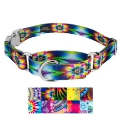 Country Brook Petz Martingale Dog Collar With Premium Buckle - Groovy Collection -Pet Supplies Online GUEST b554c5dd 3a5a 4f0a aa76 a3319185ba52
