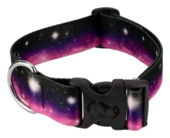 Country Brook Petz 1 1/2 Inch Deluxe Heavenly Space Dog Collar -Pet Supplies Online GUEST b5a76477 dff1 4972 b8b2 ad25fa77c6c6