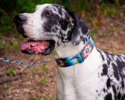 Country Brook Petz 1 1/2 Inch Tie Dye Flowers Martingale Dog Collar -Pet Supplies Online GUEST b606efab 1ba3 4158 aee6 65b172d71903