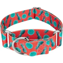 Country Brook Petz 1 1/2 Inch Tropical Tango Martingale Dog Collar -Pet Supplies Online GUEST b607a3ad 6755 478f 9ffe 0a7fd50cb899
