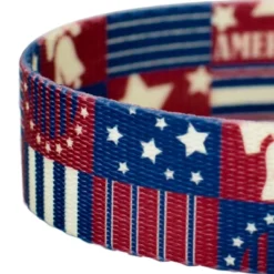 Country Brook Petz Spirit Of '76 Dog Leash (6 Foot, 1 Inch Wide) -Pet Supplies Online GUEST b6a30d9b b2d6 43ea a135 1dbd490b14ad