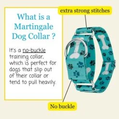 Country Brook Petz HossFit Jr Wide Martingale Dog Collar - Dog's Life Collection 14 Country Brook Petz HossFit Jr Wide Martingale Dog Collar - Dog's Life Collection -Pet Supplies Online GUEST b6abc4e3 e66b 44b7 9c7b ea28583fc21b