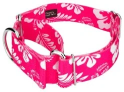 Country Brook Petz 1 1/2 Inch Pink Hawaiian Martingale Dog Collar 13 Country Brook Petz 1 1/2 Inch Pink Hawaiian Martingale Dog Collar -Pet Supplies Online GUEST b771a097 a5ab 47af b86e 10ec505270cc