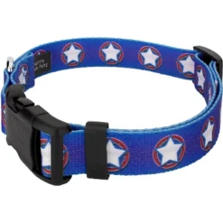 Country Brook Petz Deluxe American Stars Dog Collar And Leash