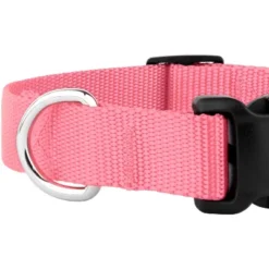 Country Brook Petz Deluxe Nylon Dog Collar And Leash -Pet Supplies Online GUEST b836c46d 3fa3 4739 ba64 c3cb70b86eed