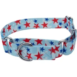 Country Brook Petz American Celebration Martingale Dog Collar (1/2 Inch, 2XS) -Pet Supplies Online GUEST b8f80ec0 f5a7 435c 8da3 034b00dc20ea