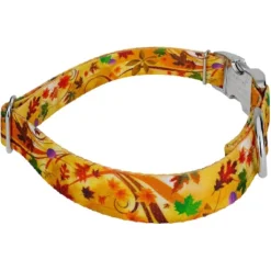 Country Brook Petz Premium Dog Collar - Awesome Autumn Collection -Pet Supplies Online GUEST b902d6e6 0f7a 4d90 a906 988adf4b10b1