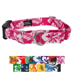 Country Brook Petz Martingale With Deluxe Buckle - Summer Breeze Collection -Pet Supplies Online GUEST b957a67f e4d3 44aa 8ff9 7644ac975685