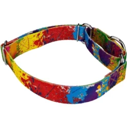 Country Brook Petz Paint Splatter Martingale Dog Collar -Pet Supplies Online GUEST b983b999 dbb5 49e8 af34 d471abd38f4c