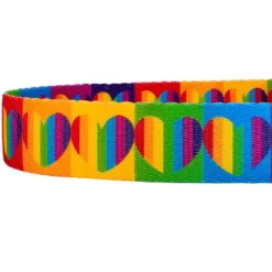 Country Brook Petz 6 Foot Dog Leash - Affection Collection -Pet Supplies Online GUEST b9adb0a7 9bd8 4859 a39a c4649303f7c5