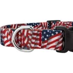 Country Brook Petz Patriotic Tribute Deluxe Dog Collar - Made In The U.S.A. (1 Inch, Extra Large) -Pet Supplies Online GUEST b9c1a963 ec84 4ba5 9e40 f14daab58a1b