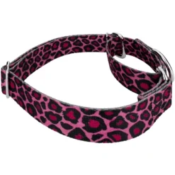 Country Brook Petz Pink Leopard Print Martingale Dog Collar And Leash -Pet Supplies Online GUEST ba372cfc d280 4959 be64 5f306002eb82 1