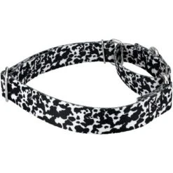 Country Brook Petz Dairy Cow Martingale Dog Collar -Pet Supplies Online GUEST baae2c29 1b69 47d1 9dca 62fd1a8fd922