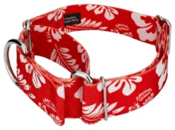 Country Brook Petz 1 1/2 Inch Red Hawaiian Martingale Dog Collar -Pet Supplies Online GUEST bb522183 93dd 489f 97dc 45d184150b69