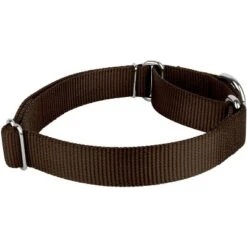 Country Brook Design Martingale Heavyduty Nylon Dog Collar -Pet Supplies Online GUEST bbabfd26 984c 4f29 993f d8901b5a96a2