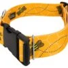 Country Brook Petz 1 1/2 Inch Deluxe Busy Bee Dog Collar -Pet Supplies Online GUEST bc2ee25f f126 462a ab8f 7eb693cb90f0