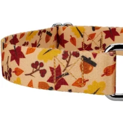 Country Brook Petz Fall Foliage Martingale Dog Collar And Leash -Pet Supplies Online GUEST bc34727b 30b4 422a 9553 845e292ba4d7