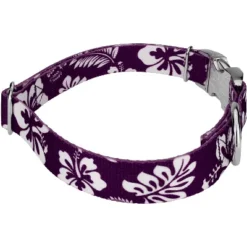 Country Brook Petz Premium Purple Hawaiian Dog Collar -Pet Supplies Online GUEST bc461ca6 0846 4f60 983f 667bb08ea3d2