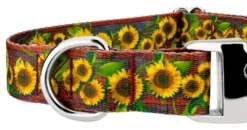 Country Brook Petz Premium Country Fields Dog Collar Limited Edition 10 Country Brook Petz Premium Country Fields Dog Collar Limited Edition -Pet Supplies Online GUEST bc473f56 43fd 4a8f 8052 d2b8d624f981