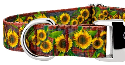 Country Brook Petz Premium Country Fields Dog Collar Limited Edition 5 Country Brook Petz Premium Country Fields Dog Collar Limited Edition - Image 3