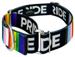 Country Brook Petz 1 1/2 Inch Pride Martingale Dog Collar 10 Country Brook Petz 1 1/2 Inch Pride Martingale Dog Collar -Pet Supplies Online GUEST bc935393 0473 4995 9da0 e4d70c8c1cc7