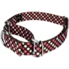 Country Brook Petz Shibuya Martingale Dog Collar And Leash Limited Edition -Pet Supplies Online GUEST bcec24ae 2fa8 42f4 886a 4649162095e8