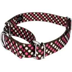 Country Brook Petz Shibuya Martingale Dog Collar And Leash Limited Edition