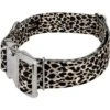 Country Brook Petz HossFit Jr Wide Premium Dog Collar - Animal Print Collection 2 Country Brook Petz HossFit Jr Wide Premium Dog Collar - Animal Print Collection -Pet Supplies Online GUEST bcf012c0 7086 4740 9fe8 88fff9a2557a