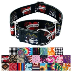Country Brook Petz HossFit Wide Martingale Dog Collar Collection -Pet Supplies Online GUEST bcf0b09a 17c2 4715 a661 401c6d0d3281