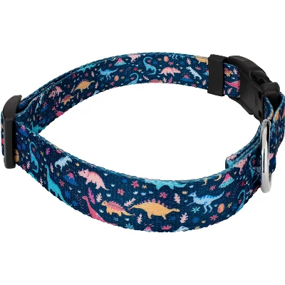 Country Brook Petz Deluxe Dinosaurs Dog Collar And Leash 5 Country Brook Petz Deluxe Dinosaurs Dog Collar And Leash - Image 3