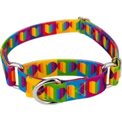 Country Brook Petz Rainbow Hearts Martingale Dog Collar -Pet Supplies Online GUEST bec0d48c 0b52 4634 af8f d634045df053