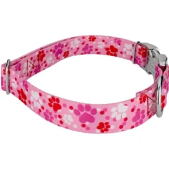 Country Brook Petz Premium Puppy Love Dog Collar -Pet Supplies Online GUEST bef1b3f9 bc6f 4eaa 9ec2 c48f0007c2f6