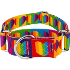 Country Brook Petz 1 1/2 Inch Rainbow Hearts Martingale Dog Collar -Pet Supplies Online GUEST bf296568 f777 4091 a100 c756b6b3d0a2