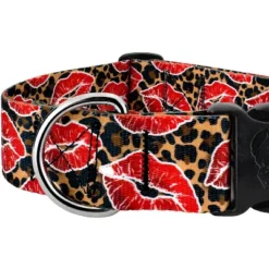 Country Brook Petz HossFit Jr Wide Deluxe Dog Collar - Affection Collection 8 Country Brook Petz HossFit Jr Wide Deluxe Dog Collar - Affection Collection -Pet Supplies Online GUEST bf399f17 9bca 4ce1 b3ae 4ce5db93537c