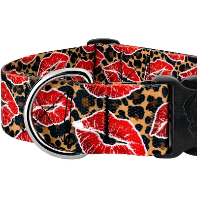 Country Brook Petz HossFit Jr Wide Deluxe Dog Collar - Affection Collection 5 Country Brook Petz HossFit Jr Wide Deluxe Dog Collar - Affection Collection - Image 3