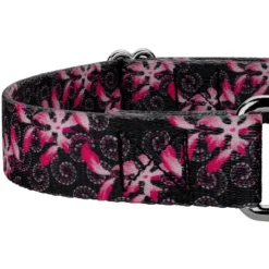 Country Brook Petz Pink Honeysuckle Breeze Martingale Dog Collar -Pet Supplies Online GUEST bf492071 82e6 45d9 9b59 5596102ac7bc