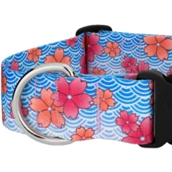 Country Brook Petz HossFit Jr Wide Deluxe Dog Collar - Spring Collection -Pet Supplies Online GUEST c04f2ad3 66f4 440f bcfc 3c6fe3444f50