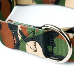 Country Brook Petz HossFit Jr Wide Deluxe Dog Collar - Camouflage Collection -Pet Supplies Online GUEST c064b760 45d0 454f a8b1 9e9d62c4366c
