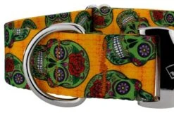 Country Brook Petz 1 1/2 Inch Premium Sugar Skulls Dog Collar -Pet Supplies Online GUEST c0e26371 0fb9 4d47 9e92 c4ff30d3f6a9
