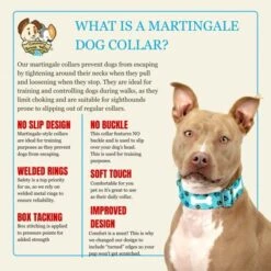 Country Brook Petz HossFit Jr Wide Martingale Dog Collar - Dog's Life Collection 16 Country Brook Petz HossFit Jr Wide Martingale Dog Collar - Dog's Life Collection -Pet Supplies Online GUEST c119d783 c96d 4e94 8c3e e43920a2c352