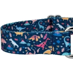Country Brook Petz Dinosaurs Martingale Dog Collar And Leash -Pet Supplies Online GUEST c15b441e 00ae 4853 8aa5 cd33b4e2eb90