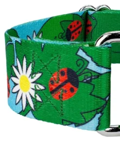 Country Brook Petz 1 1/2 Inch Ladybug Picnic Martingale Dog Collar -Pet Supplies Online GUEST c15e59e7 94b6 4f37 a148 1a49b153cb86