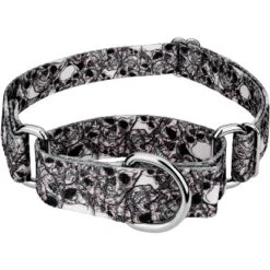 Country Brook Petz Phantom Skulls Martingale Dog Collar (1 Inch, Medium) -Pet Supplies Online GUEST c171f787 a3e4 41b2 82a4 42448c731d64