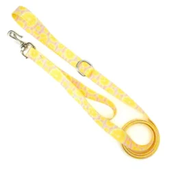 Country Brook Petz 6 Foot Dog Leash - Tasty Collection -Pet Supplies Online GUEST c1969158 36af 4d80 bcd4 a947485d2a5d
