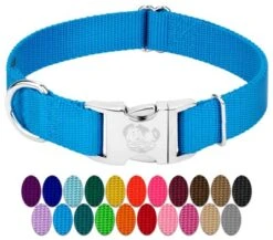 Country Brook Petz Premium Nylon Dog Collar 17 Country Brook Petz Premium Nylon Dog Collar -Pet Supplies Online GUEST c2474ce7 75a6 4a67 96c0 6b23a9d1dce7
